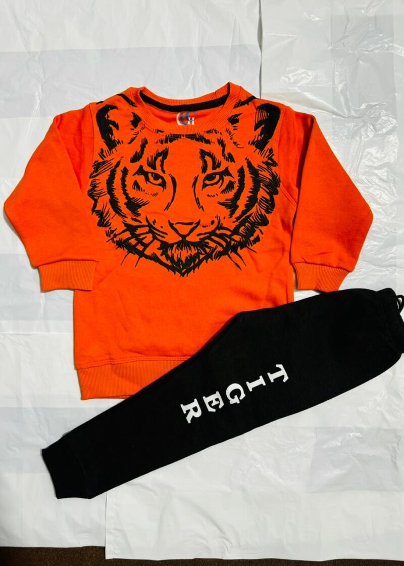 Featured image for ‘Kids Big Tiger Fashion Sweatshirt With Trouser Tracksuit For Kids Baby & Baba Both’