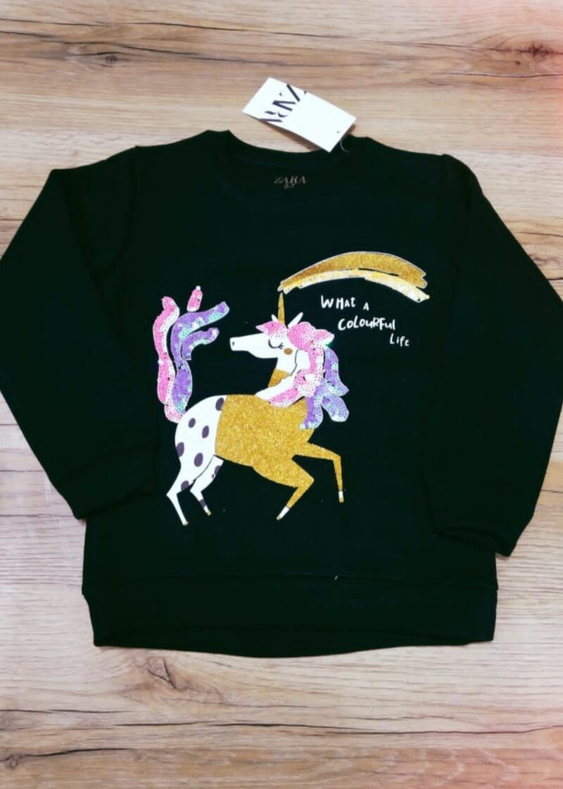 Featured image for ‘ZARA Unicorn Sequence Design Sweatshirt For Kids Baby & Baba Both’